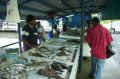 fish-market.jpg (46938 バイト)