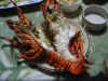 lobstar.jpg (87521 バイト)